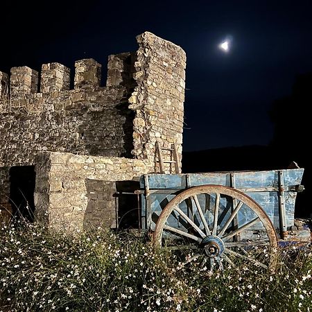 Bed and Breakfast La Bastide De La Bogne Vindrac-Alayrac Exterior foto