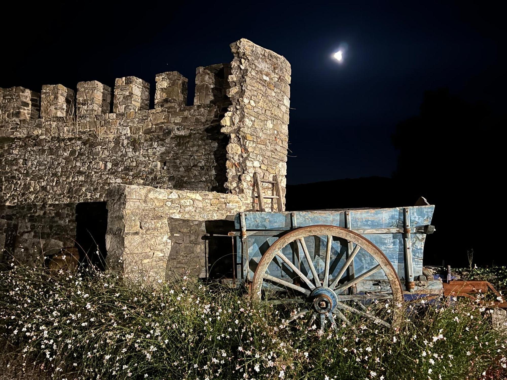 Bed and Breakfast La Bastide De La Bogne Vindrac-Alayrac Exterior foto
