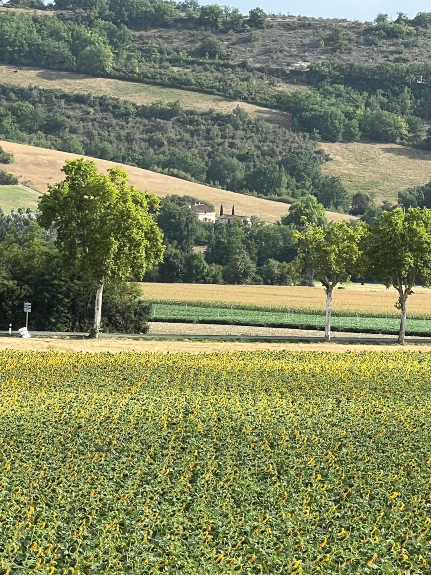 Bed and Breakfast La Bastide De La Bogne Vindrac-Alayrac Exterior foto